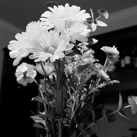 Mono+R FilmSim1x1Aspect-2_ISO 200_1.0 sec at f - 5.6_XF23mmF1.4 R at 23 mm