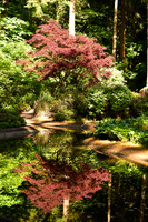 Oregon-850