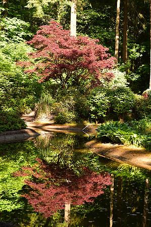 Oregon-850