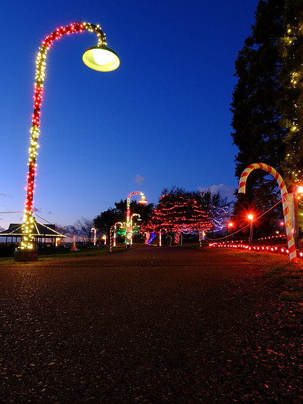 XQ1-110_ISO 100_6.0 sec at f - 7.1_ at 6.4 mm