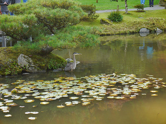 GF6-265_ISO 400_1-80 sec at f - 5.6_LUMIX G VARIO 14-42-F3.5-5.6 II at 42 mm