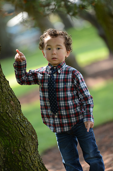 Coulon Park-318