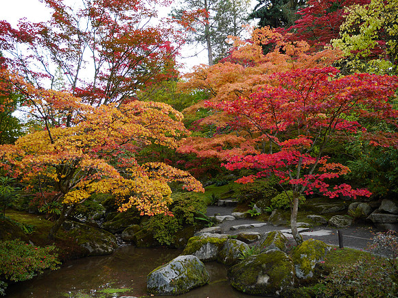GF6-322_ISO 160_1-80 sec at f - 3.5_LUMIX G VARIO 14-42-F3.5-5.6 II at 14 mm