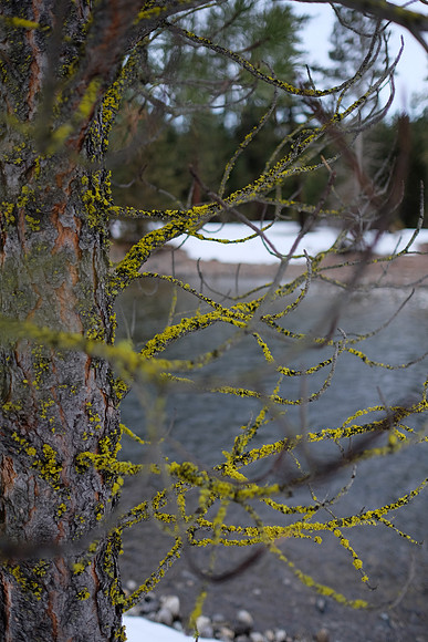 23mmLens@1.4-112_ISO 400_1-4000 sec at f - 1.4_XF23mmF1.4 R at 23 mm