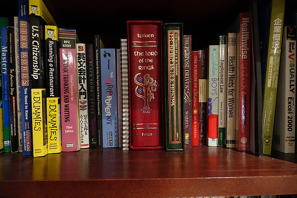 RX10Bookshelf-22_ISO 3200_1-5 sec at f - 4.0_8.8-73.3 mm f-2.8 at 8.8 mm