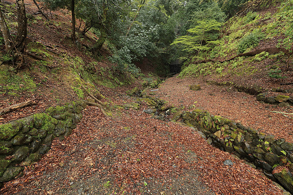 CC9I5333 Canon EOS-1D X Mark II EF16-35mm f-2.8L III USM 16 mm 1-15 sec at f - 5.6 ISO 800_