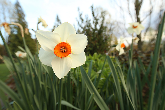 LensTest-456_ISO 500_1-80 sec at f - 7.1_EF11-24mm f-4L USM at 20 mm
