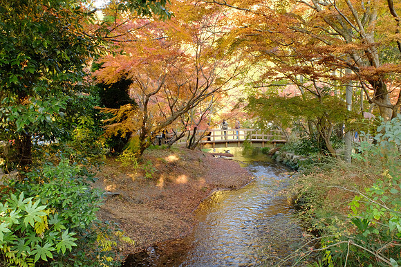 AsiaSnapshots-107_NR-2_ISO 1000_1-60 sec at f - 5.6_ at 7.1 mm