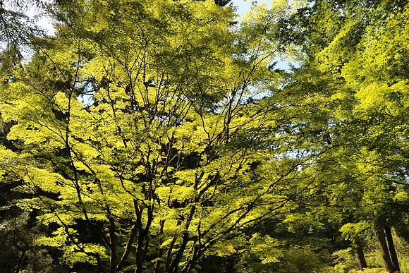 760DPort-327_ISO 100_1-250 sec at f - 5.6_EF-S18-135mm f-3.5-5.6 IS STM at 19 mm