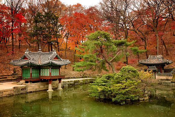 Asia 2012-472-Edit