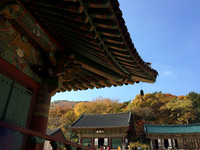 IMG_5597.JPG