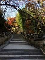 IMG_5600.JPG