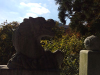 IMG_5604.JPG