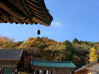 IMG_5596.JPG