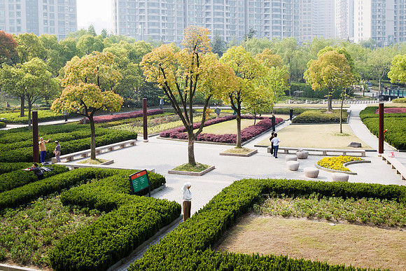 Park Shrubs