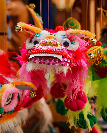 Dragon Puppet
