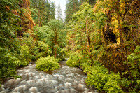 Oneonta Gorge Flood