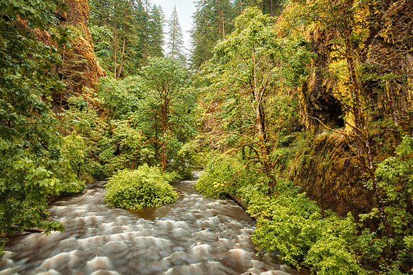 Oneonta Gorge Flood