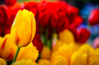 Pike Place Market Flowers