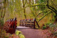 Newcastle Trail