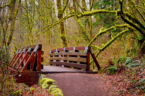 Newcastle Trail