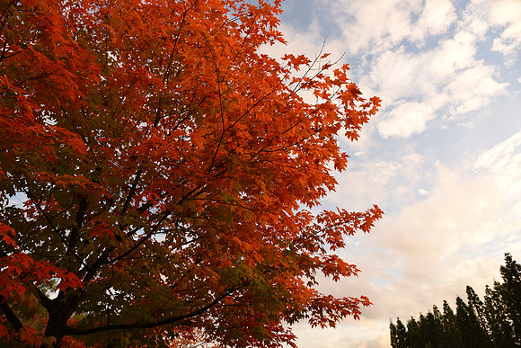 D750-9_ISO 100_1-125 sec at f - 5.6_24.0-120.0 mm f-4.0 at 24 mm