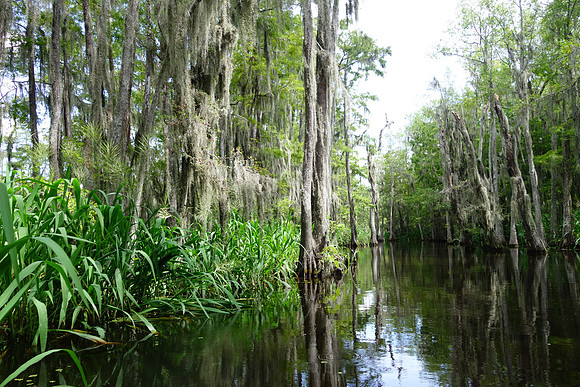 Sony New Orleans-731_ISO 160_1-200 sec at f - 3.2_10.4-37.1 mm f-1.8-4.9 at 10.4 mm