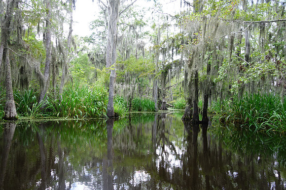 Sony New Orleans-720_ISO 160_1-200 sec at f - 2.2_10.4-37.1 mm f-1.8-4.9 at 10.4 mm