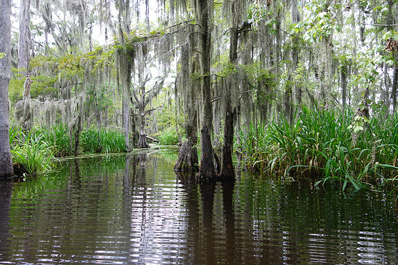 Sony New Orleans-724_ISO 160_1-200 sec at f - 2.0_10.4-37.1 mm f-1.8-4.9 at 10.4 mm