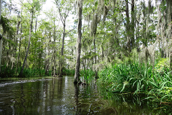 Sony New Orleans-733_ISO 160_1-200 sec at f - 3.5_10.4-37.1 mm f-1.8-4.9 at 10.4 mm