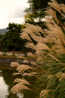 Japan Matsumoto 2018-71 NIKON Z 7 NIKKOR Z 24-70mm f-4 S 62 mm 1-250 sec at f - 5.6 ISO 100_