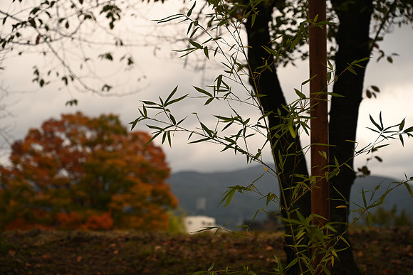 Japan Matsumoto 2018-64 NIKON Z 7 NIKKOR Z 24-70mm f-4 S 70 mm 1-1000 sec at f - 4.0 ISO 125_