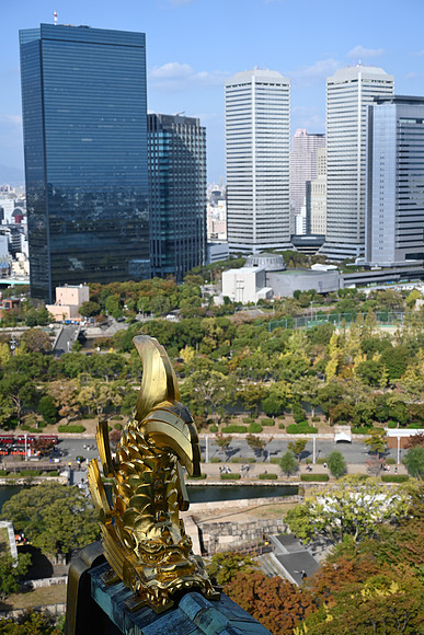Japan Osaka 2018-39 NIKON Z 7 NIKKOR Z 24-70mm f-4 S 50 mm 1-1250 sec at f - 4.0 ISO 100_