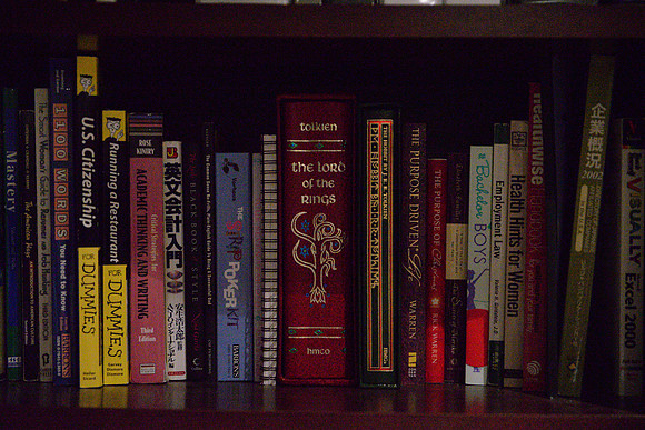 D610Bookshelf-8_ISO 25600_1-200 sec at f - 2.8_24.0-70.0 mm f-2.8 at 70 mm