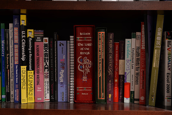 D610Bookshelf-10_ISO 100_15.0 sec at f - 10_24.0-70.0 mm f-2.8 at 70 mm