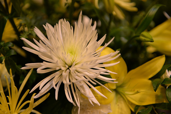 D610-107_ISO 500_1-60 sec at f - 2.8_24.0-70.0 mm f-2.8 at 70 mm