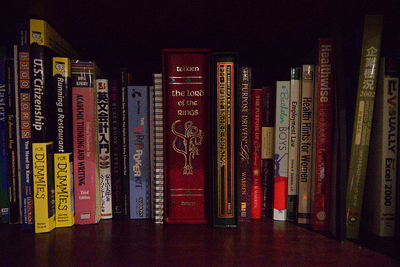 D610Bookshelf-2_ISO 25600_1-200 sec at f - 2.8_24.0-70.0 mm f-2.8 at 24 mm