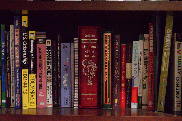 D610Bookshelf-9_ISO 25600_1-15 sec at f - 10_24.0-70.0 mm f-2.8 at 70 mm