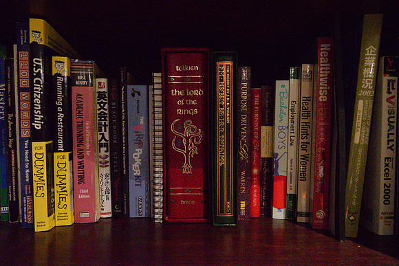 D610Bookshelf-7_ISO 25600_1-15 sec at f - 10_24.0-70.0 mm f-2.8 at 24 mm