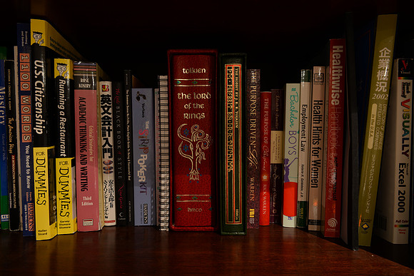 D610Bookshelf-5_ISO 100_15.0 sec at f - 10_24.0-70.0 mm f-2.8 at 24 mm