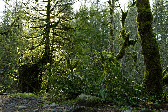 GFX50S Hike-31 GFX 50S GF32-64mmF4 R LM WR 44 mm 1-5 sec at f - 11 ISO 100_