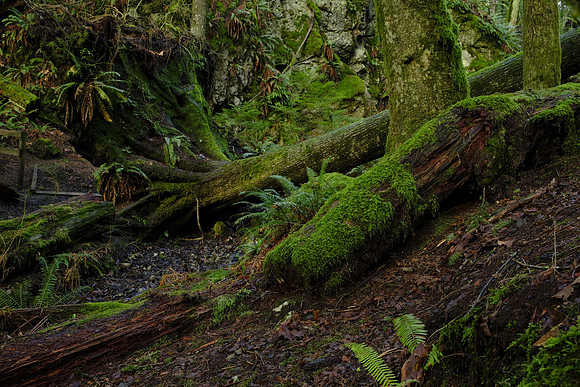 GFX50S Hike-236 GFX 50S GF32-64mmF4 R LM WR 40.3 mm 5.3 sec at f - 16 ISO 100_