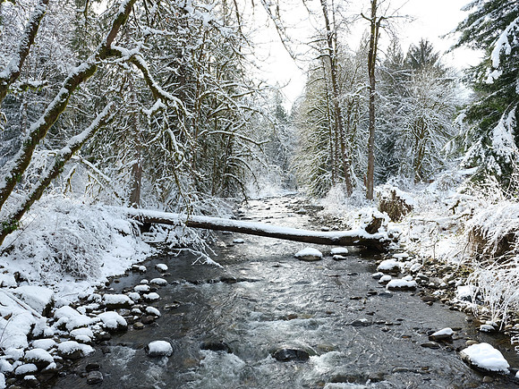 50s Snoqualmie-19 [1-25 sec at f - 11 32 mm Fujifilm GFX 50S GF32-64mmF4 R LM WR]