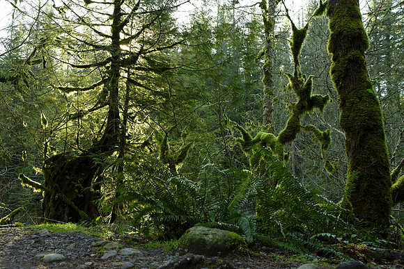 GFX50S Hike-33 GFX 50S GF32-64mmF4 R LM WR 44 mm 1-10 sec at f - 8.0 ISO 100_