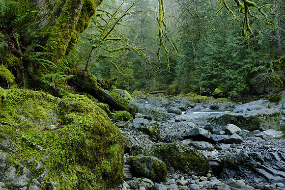 GFX50S Hike-171 GFX 50S GF32-64mmF4 R LM WR 32 mm 1.7 sec at f - 16 ISO 100_