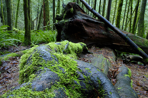 GFX50S Hike-93 GFX 50S GF32-64mmF4 R LM WR 32 mm 14.0 sec at f - 22 ISO 100_