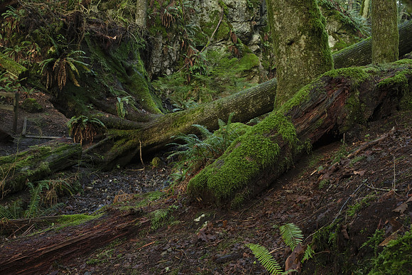 GFX50S Hike-242 GFX 50S GF32-64mmF4 R LM WR 40.3 mm 6.0 sec at f - 16 ISO 100_