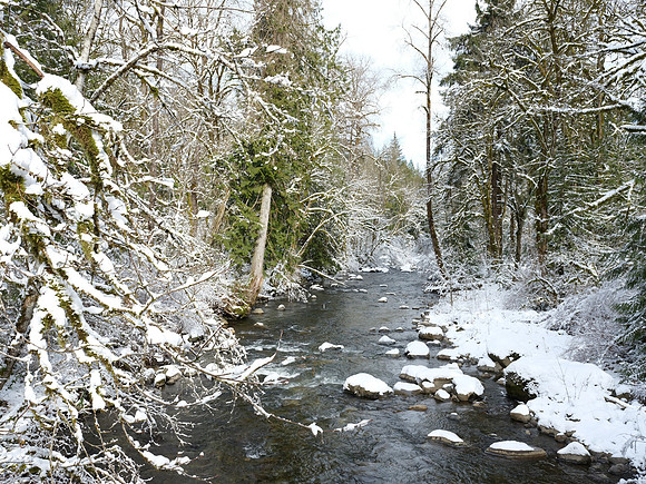50s Snoqualmie-39 [1-40 sec at f - 10 37.6 mm Fujifilm GFX 50S GF32-64mmF4 R LM WR]