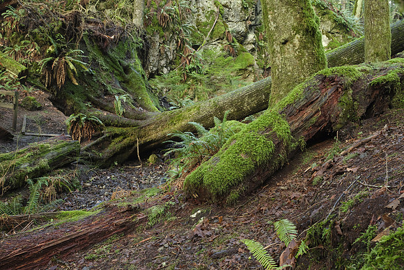 GFX50S Hike-238 GFX 50S GF32-64mmF4 R LM WR 40.3 mm 10.0 sec at f - 16 ISO 100_