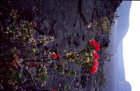 SF880r3_USM_iSRD_AutoCCR_3200ppi_48-24_MEOff_08
